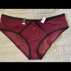 Torrid panty
